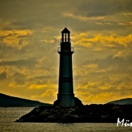 mnrsahin-10