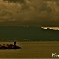 mnrsahin-11